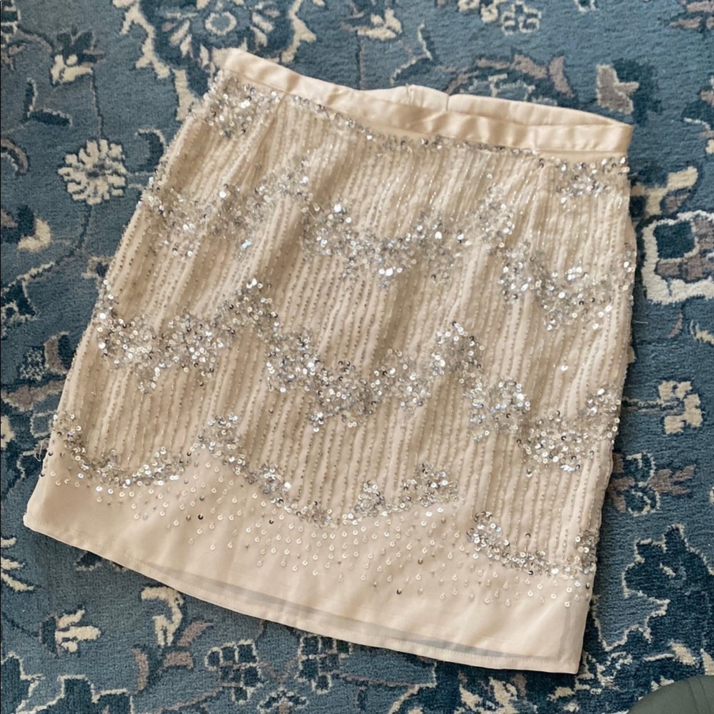 Elegant Cream and Silver Sequin Skirt